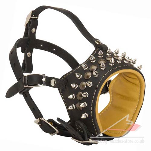 Designer leather dog muzzle