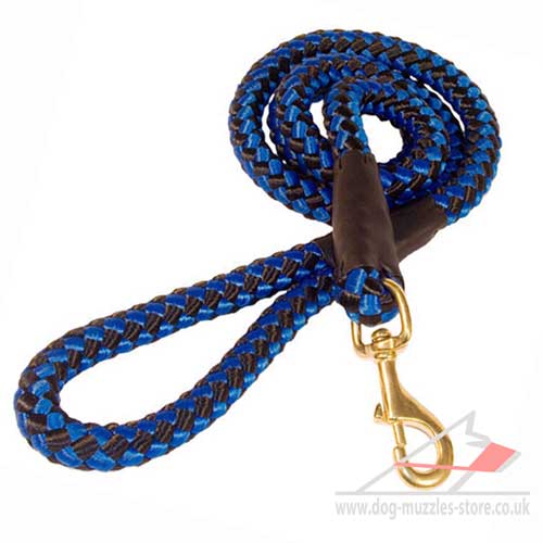 Strong Dog Leash