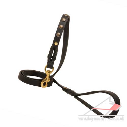 Designer Dog Lead