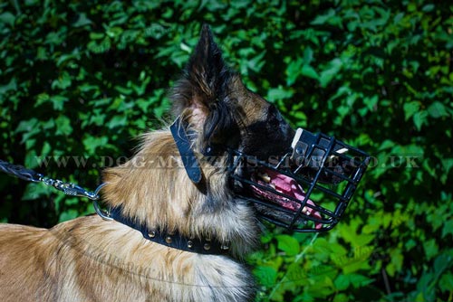 Belgian Tervuren Dog Muzzle Basket