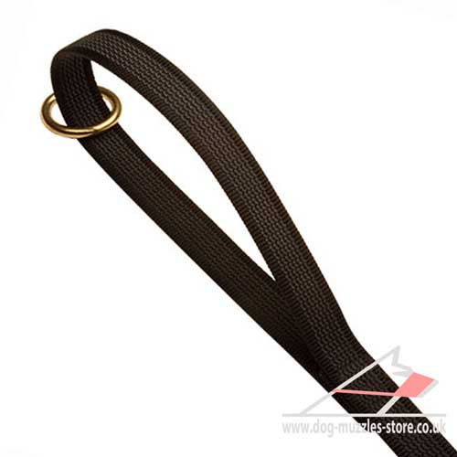 Walking Dog Leash