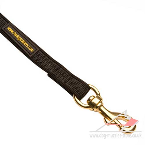 Walking Dog Leash