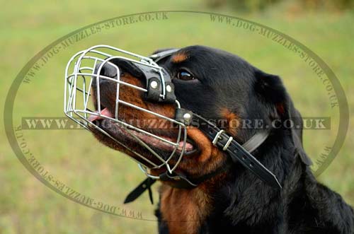 Dog Cage Muzzle