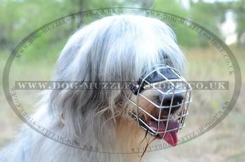 Wire dog muzzle