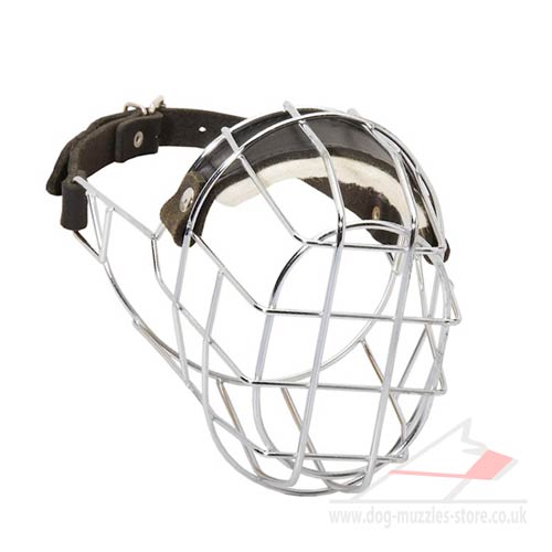 Basket muzzle for dog