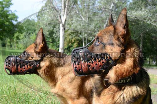 dog muzzles k9