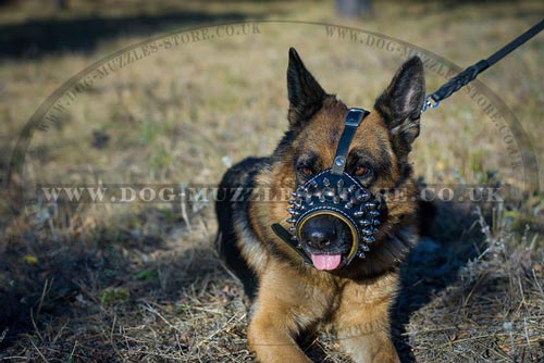 Leather Dog Muzzle for German Shepherd