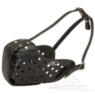 Leather Dog Muzzle for Training