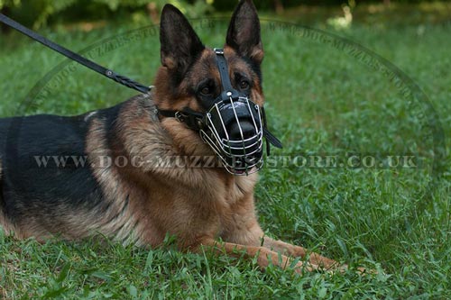 Padded Dog Muzzle Basket for German Shepherd