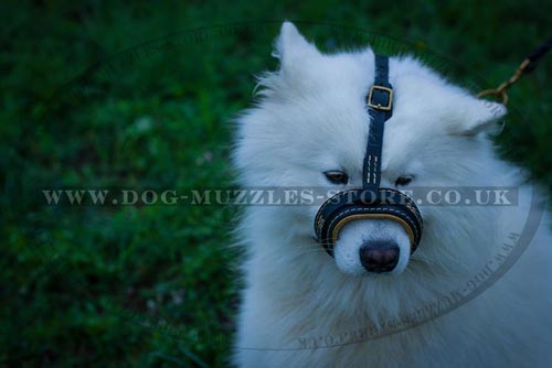 Anti Bark Dog Muzzle Loop for Samoyed Dog Breed