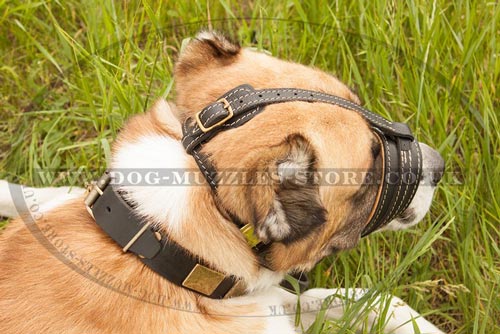 Anti Bark Dog Muzzle Loop for Central Asian Shepherd Dog Breed