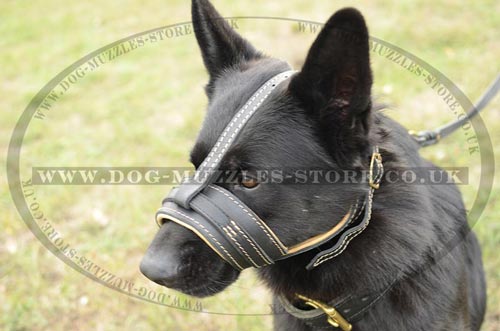 German Shephard muzzle