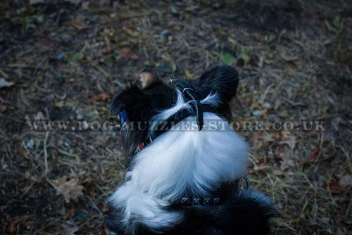 Attack Dog Training Leather Muzzle