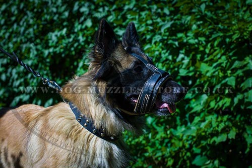 Bark Stopper Dog Muzzle Loop for Tervuren