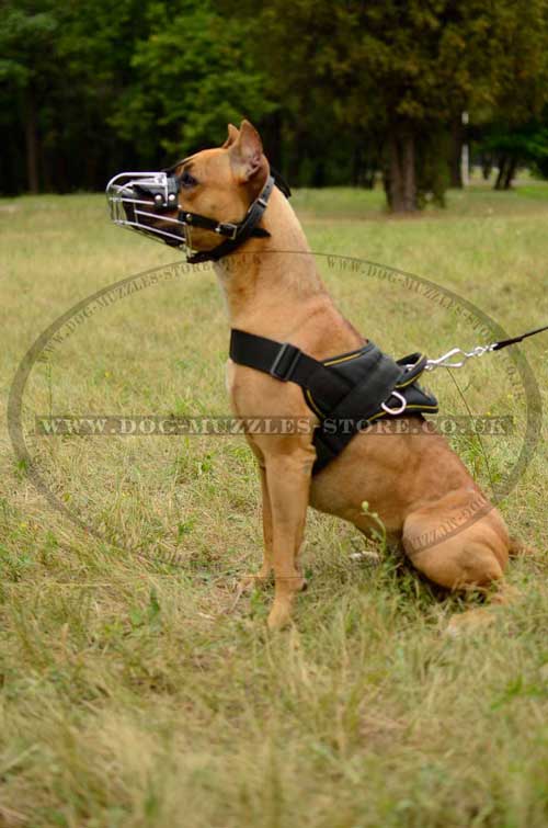 Dog Wire Muzzle for Pitbull for Sale UK