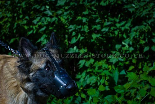 Basket Dog Muzzle for Belgian Shepherd Tervuren