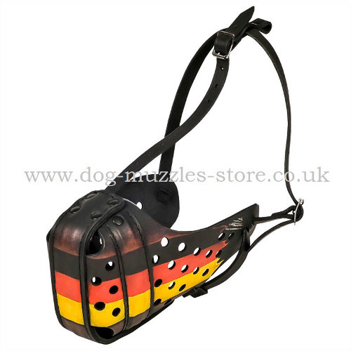 Dog Basket Muzzle UK