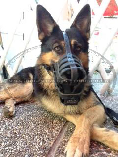 Buy German Shepherd Muzzle UK