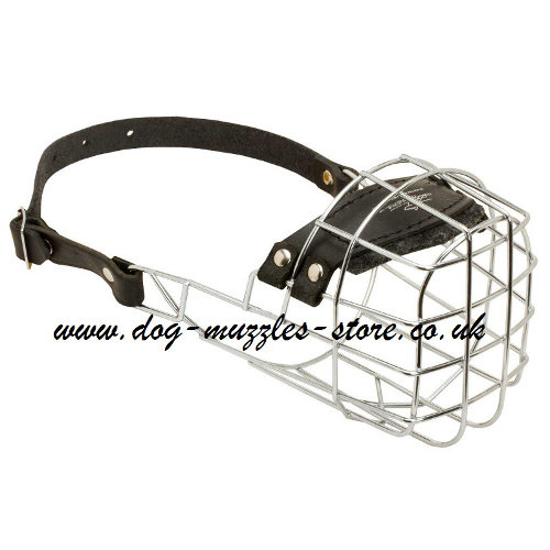 Staffordshire Bull Terrier Muzzles UK