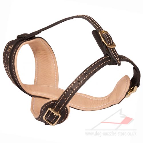 Soft leather dog muzzle