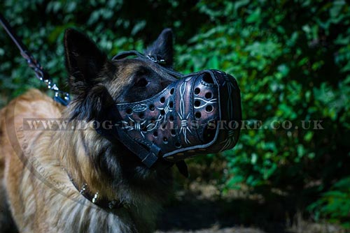 Best Muzzle for Dogs of Leather