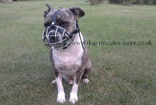 Muzzles for Dogs that Bite