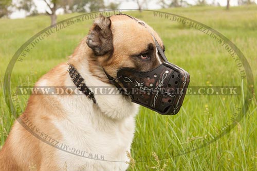 Big Dog Muzzle for Central Asian Shepherd