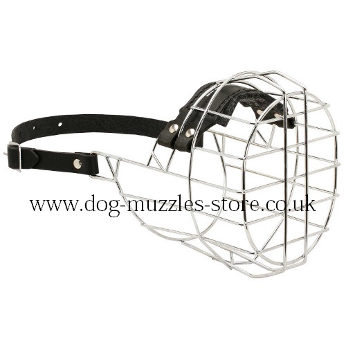 Basket Dog Muzzles UK for Boxer Muzzle Size