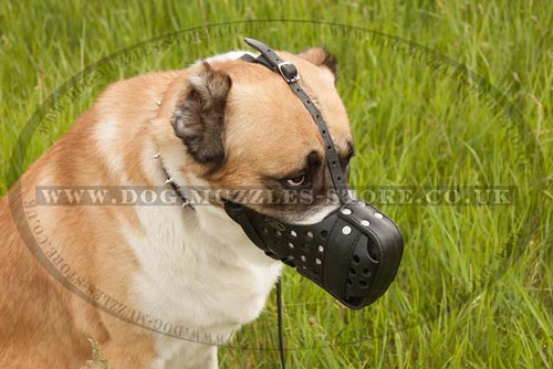 Large Dog Muzzle for Central Asian Shepherd Dogs K9