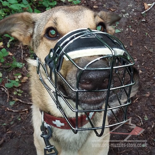 Belgian Shepherd Muzzles for Sale UK