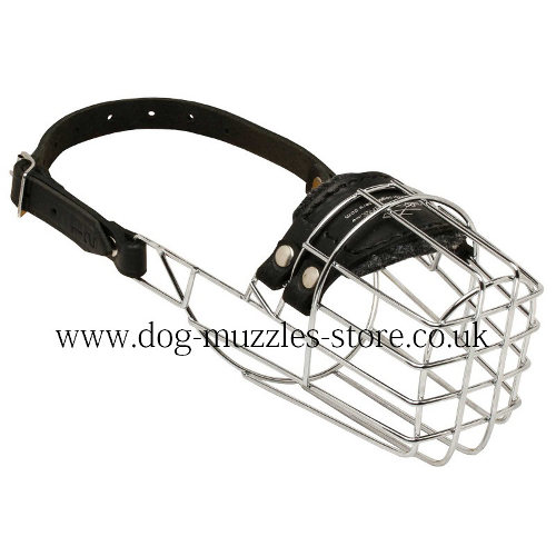 Dachshund Muzzle UK