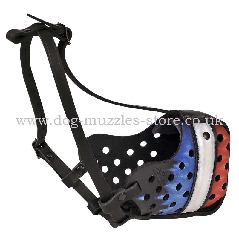Painted Dog Muzzle FRENCHY Service Dog Muzzle K9 £83.49