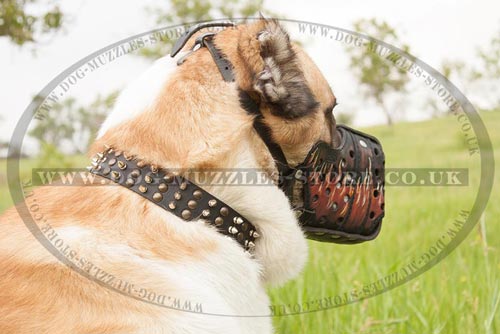 Dog Attack Training Leather Muzzle