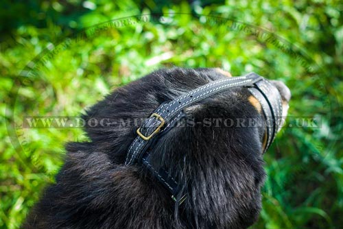 Soft Padded Dog Muzzle for Tibetian Mastiff