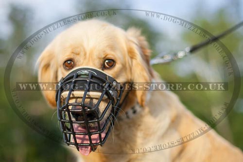 Soft Padded Dog Muzzle for Golden Retriever