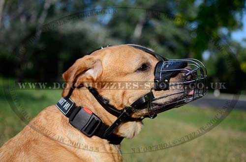 Dog Wire Basket Muzzle