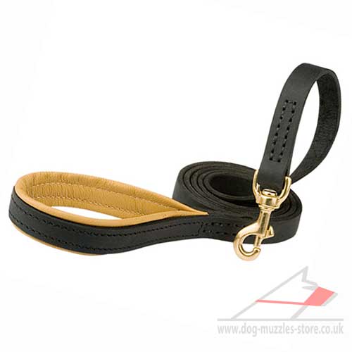 Dog Leash