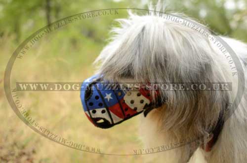 Dog leather muzzle