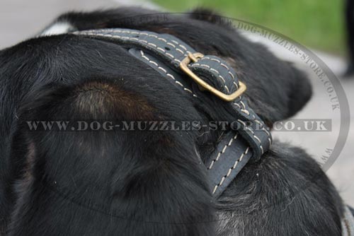 Soft Dog Muzzle Loop