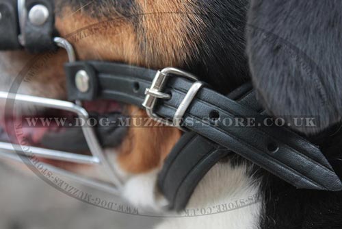 Wire Basket Muzzle for Dogs