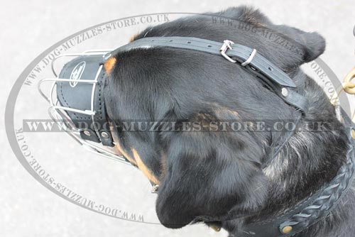 Sennenhund Muzzle for Dogs