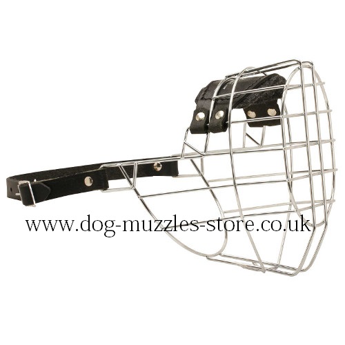 Rottweiler Muzzle Size UK