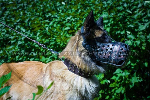 Dog Training Muzzle for Belgian Shepherd Tervuren