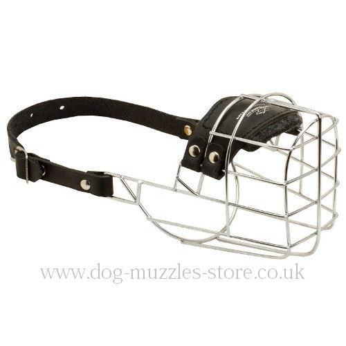 Dog Wire Muzzle UK