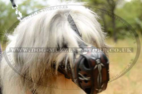 dogs muzzles