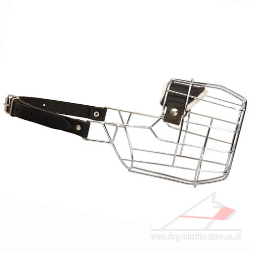 Muzzle for Bull Terrier