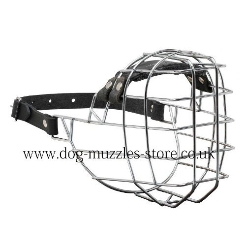 GIrl German Shepherd Muzzle Shape