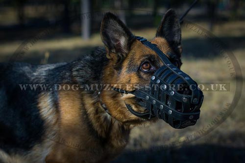 German Shepherd Leather Muzzle for Dogs Biting