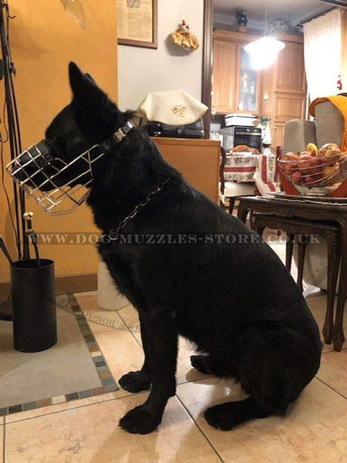 Wire Basket Dog Muzzle for German Shepherd