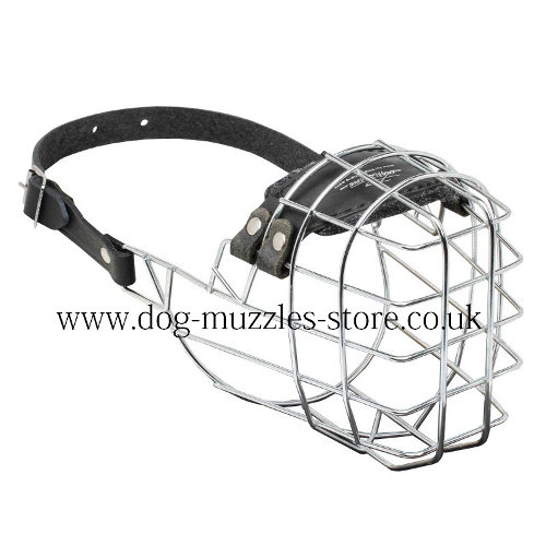 Basket Muzzle for German Shepherd